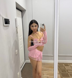 Транс Алматы Транс№490286 Adiya Фотография №3718199